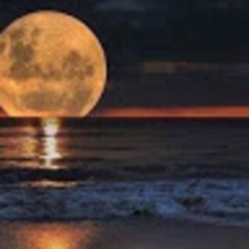 Meet your Posher, Monikka